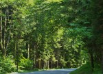 Driving in Austria