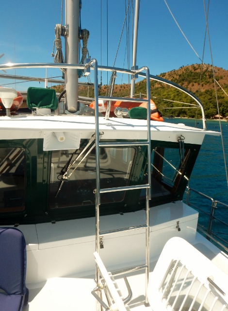 Pilothouse Roof Access Ladder